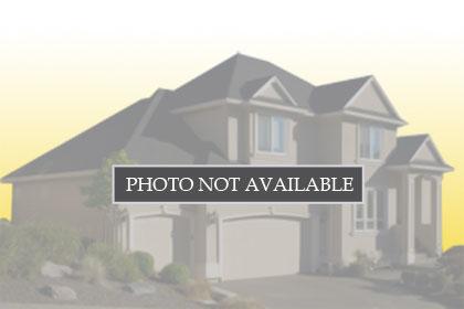 1020 Black Ankle, 3722857, Lockhart, Single Family Residence,  for sale, Link Realty, LLC