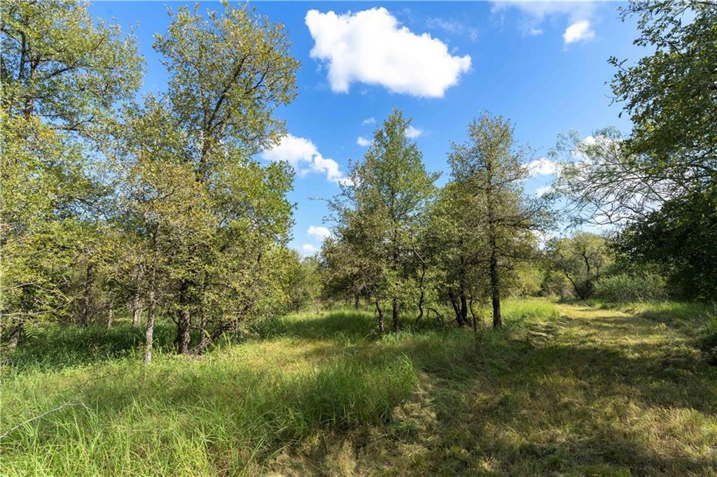 Hwy 183, 1209112, Lockhart, Lot,  for sale, Link Realty, LLC